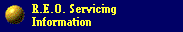 REO Servicing Information